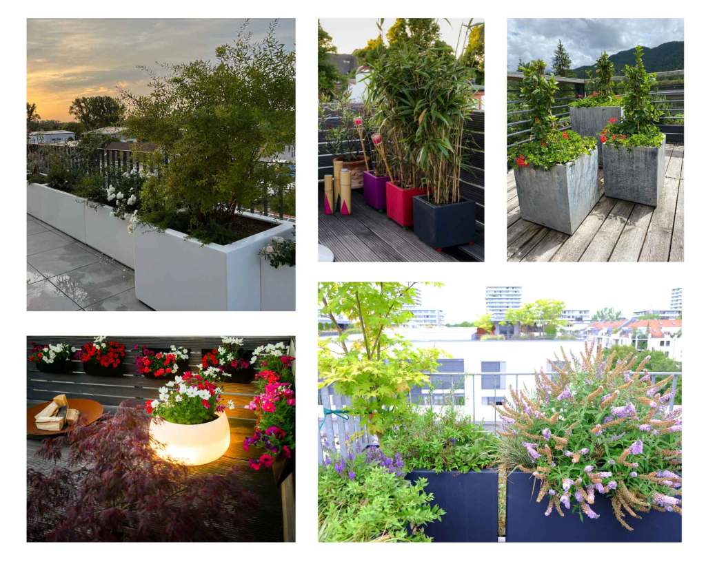 Dachterrasse Bepflanzung Beispiele